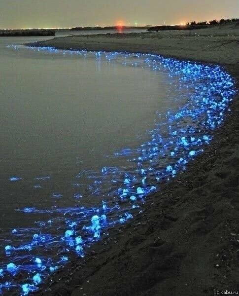 Гостевой дом Домик у моря Голубицкая-14