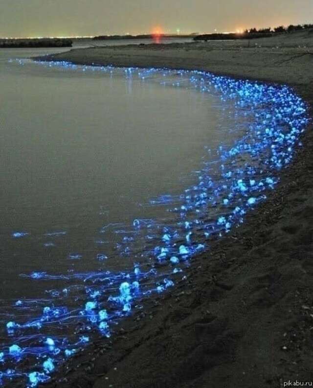 Гостевой дом Домик у моря Голубицкая-13