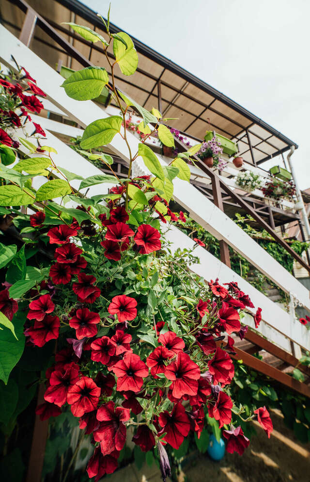 Гостевой дом Домик у моря Голубицкая-24